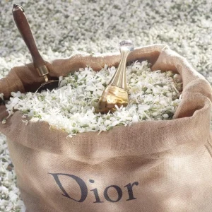 Damesgeuren>DIOR J'Adore Eau De Parfum