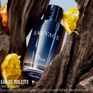 Herengeuren>DIOR Sauvage Eau De Toilette