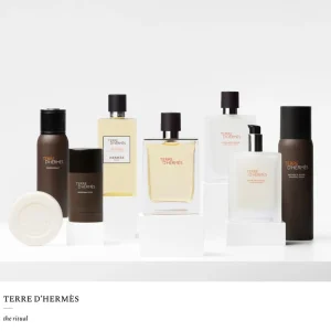 Lichaamsverzorging>HERMÈS Hermes Terre D'Hermes Deodorantstick