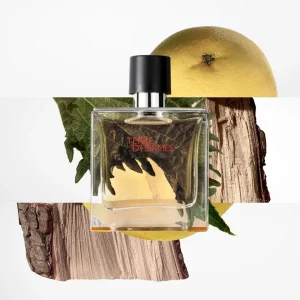 Navulbare Geuren & Navullingen>HERMÈS Hermes Terre D'Hermes Eau De Parfum Navulling