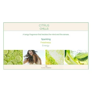 Kussensprays>Plantes & Parfums Citrus Chills-Geschenkdoos