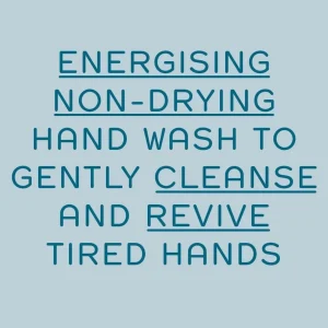 Ontsmettingsmiddelen>REN Clean Skincare Atlantic Kelp And Magnesium Energising Hand Wash