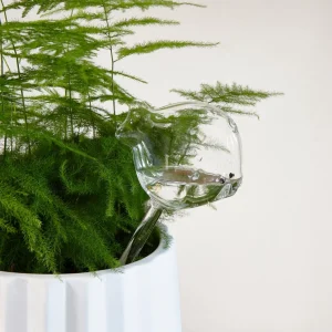 Decoratie>RM Sale Fish Water Waterdruppelaar Voor Planten, Vorm Van Vis Geschenkdoos