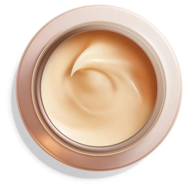 Anti-Aging Gezichtsverzorging>Shiseido Benefiance Nachtcreme Tegen Rimpels